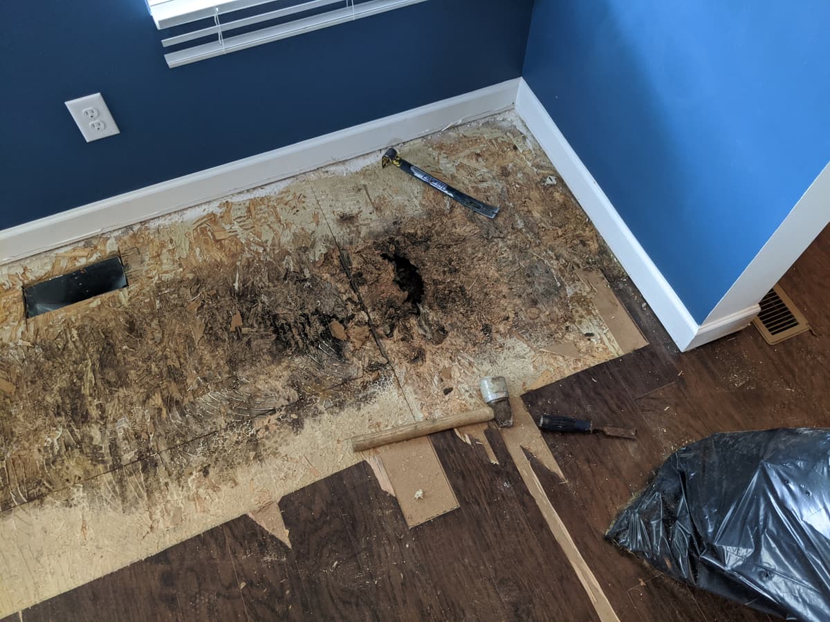 Water-damaged OSB subfloor uncovered beneath old flooring